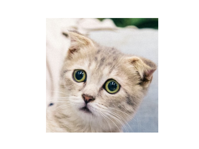 Example of Cropping an image with numpy