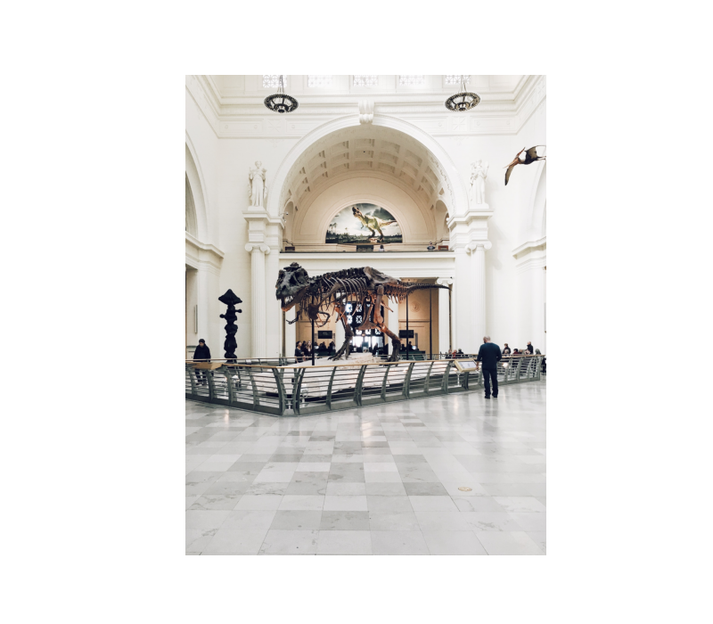 Gray Scale Image Histogram