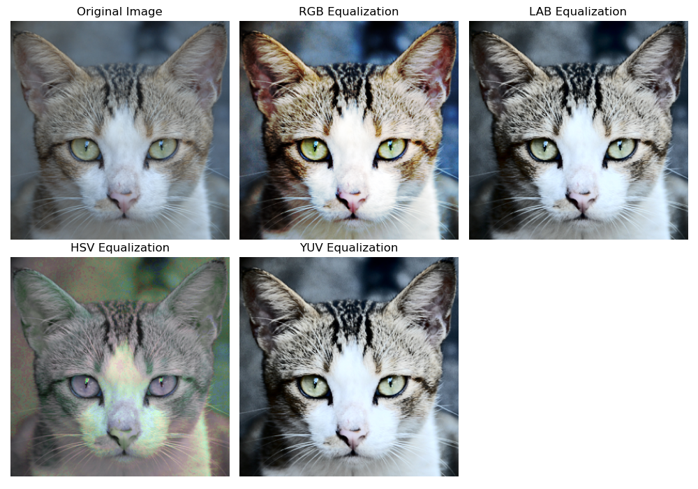 Histogram Equalization for Color Images