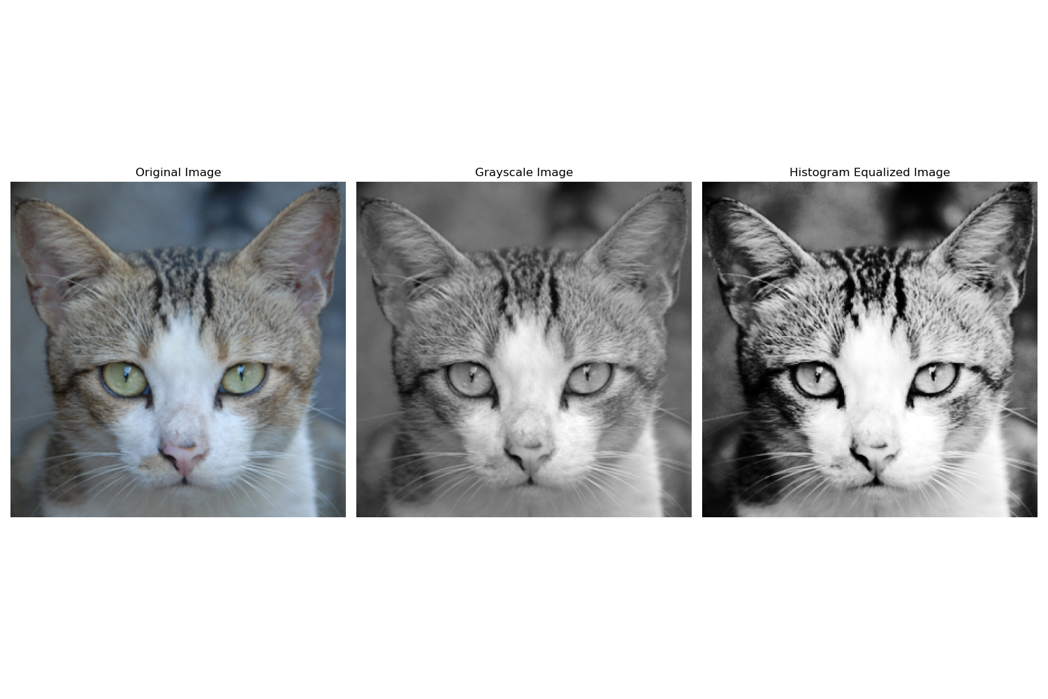 Histogram Equalization Final