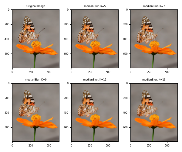 Implementing MedianBlur with OpenCV