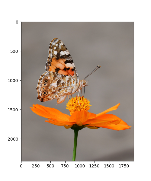 Implementing MedianBlur with OpenCV