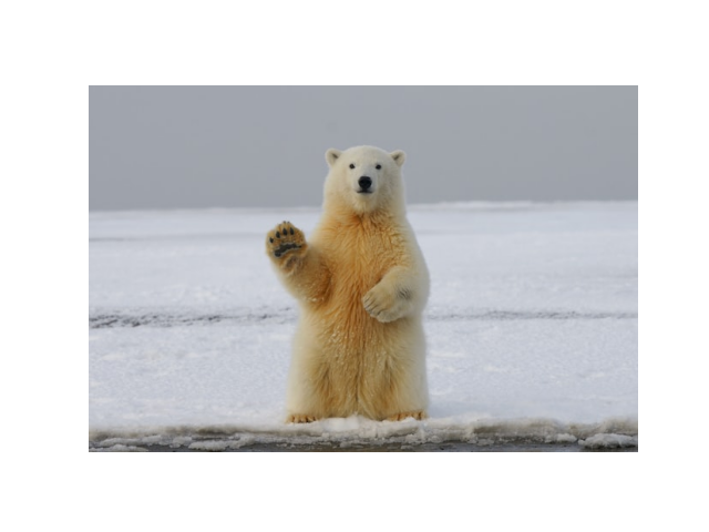 Merged image with opencv