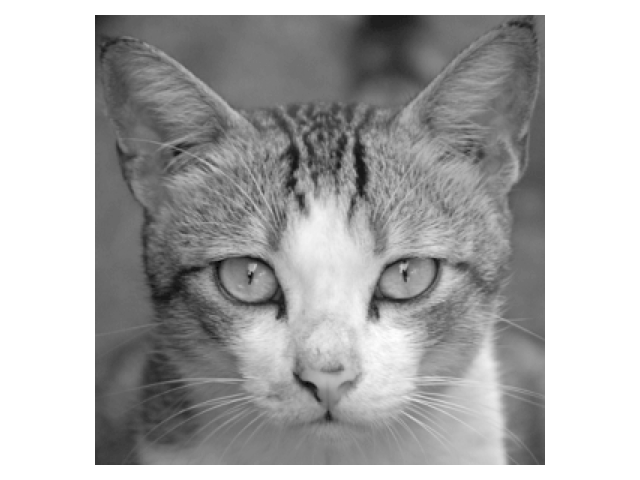 opencv_read_cat_img_gray_scale