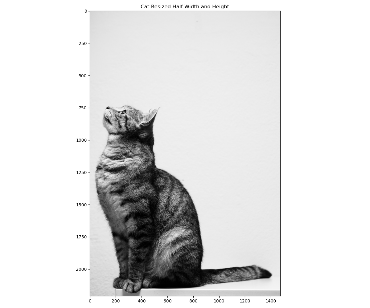 Resizing Images by Half Scale with OpenCV