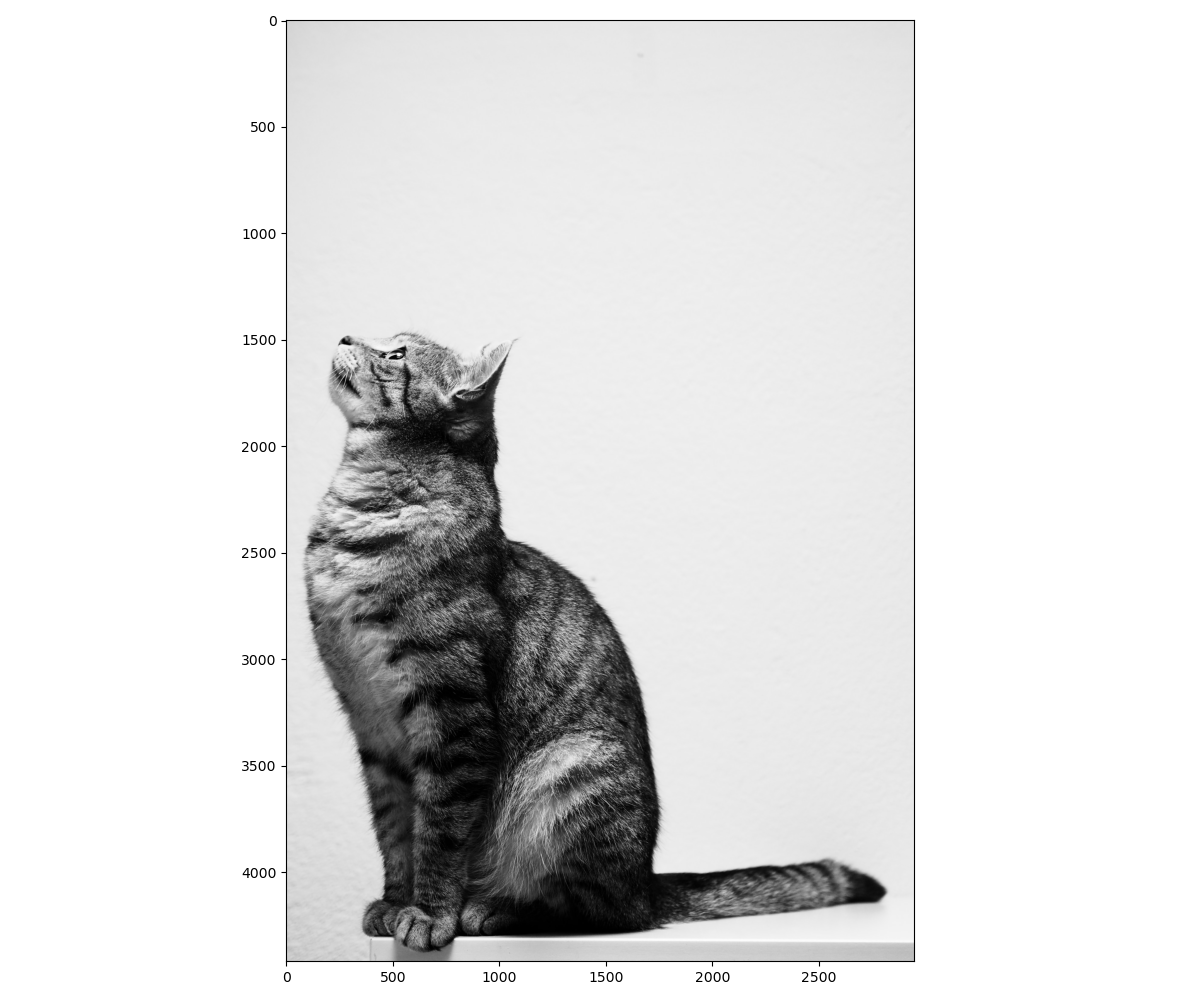 Resizing Images with Computer Vision Original