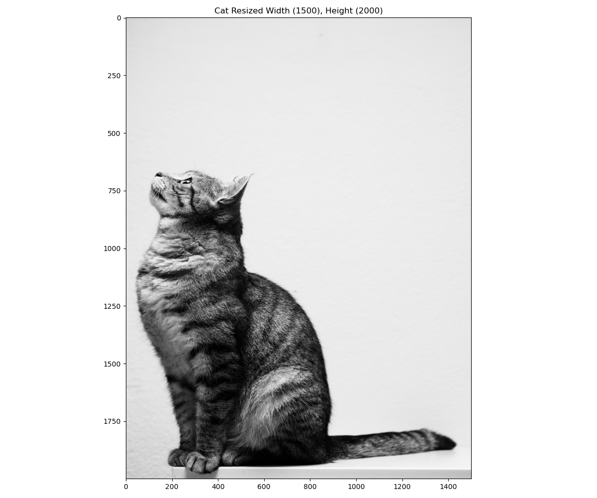 Resizing Images by Custom Width and Height OpenCV